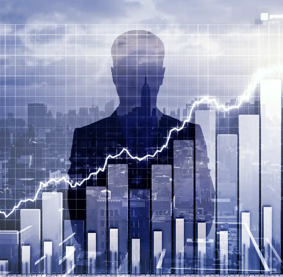 Individual Investors
