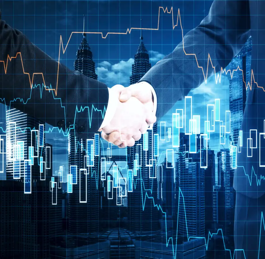Partnerships / Joint Investors